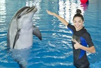 Event Gallery - Majestic Swim with Dolphins - 2